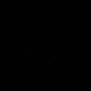 Meet your Posher, Alissa